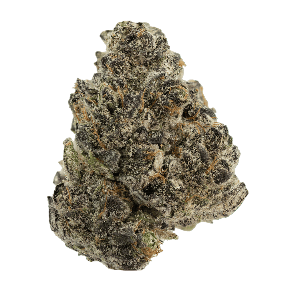 Harvest Special- Cherry Runtz 22.8%