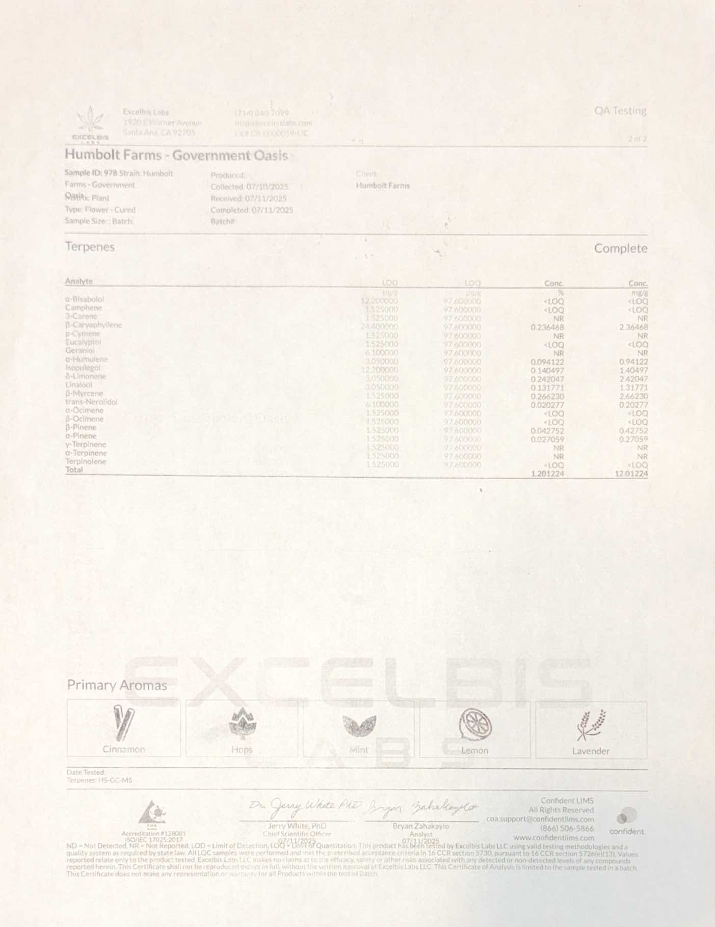 GovernMint Oasis Flower (Sativa/Hybrid) 20.36%