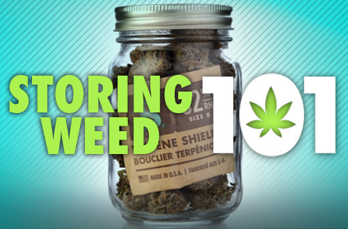 How to Keep Cannabis Fresh🍃