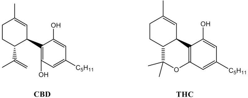 🐝 Bee's Cannabinoid Guide