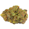 Purple Sunset Flower (Indica)