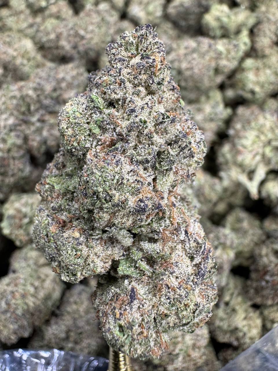 Cocolato 25% Flower (Hybrid)