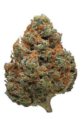 Jack Herer Flower (Sativa)