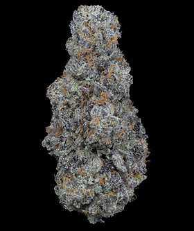 Seabreezy Flower 27.5% (Hybrid)