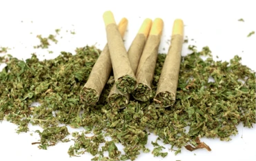 1g Pre-Rolls