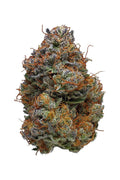 BlackBerry Kush (Sativa/Hybrid)