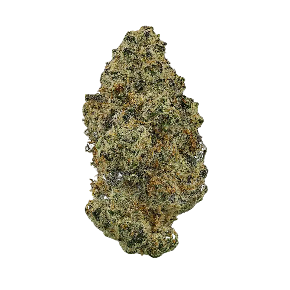 Sugar Cookies Flower ( Indica )