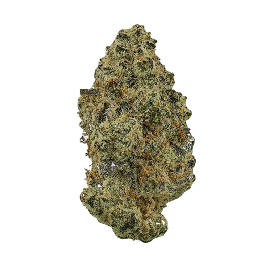 Sugar Cookies Flower ( Indica )