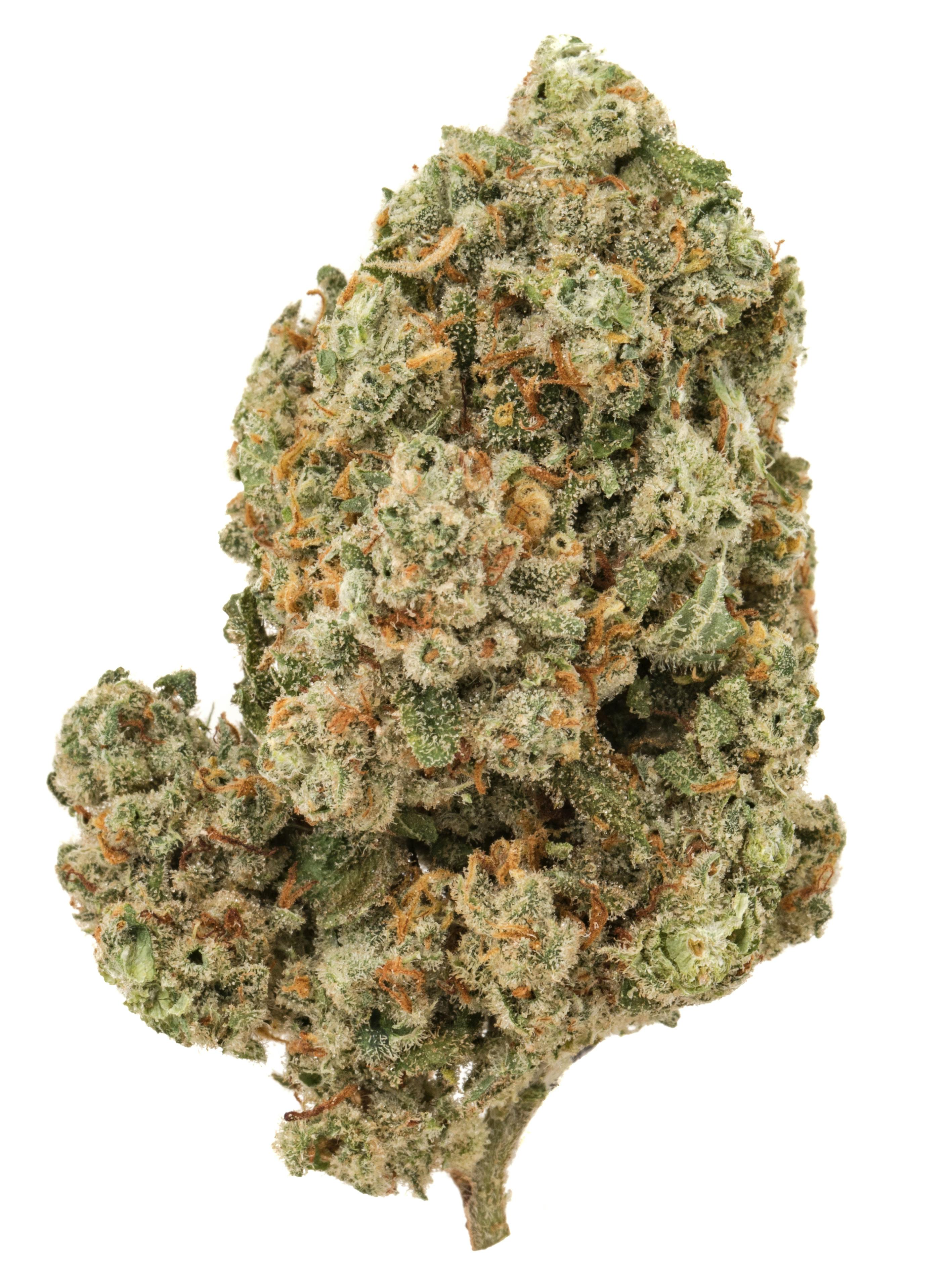 13g Blue Dream Greenhouse Flower (Sativa/Hybrid)