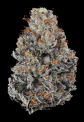 Detective Bernard Flower (Indica)