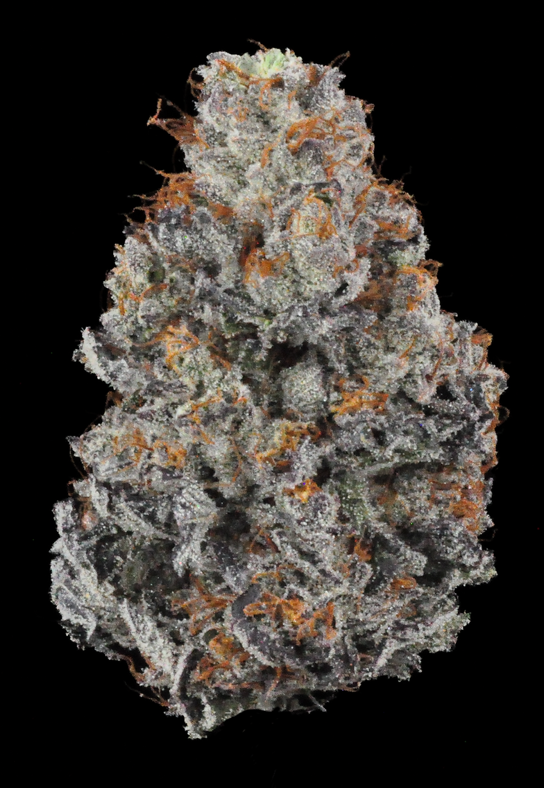 Detective Bernard Flower (Indica)