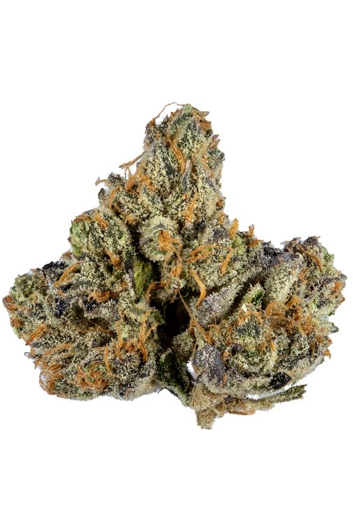 Key Lime Pie Strain (Hybrid)