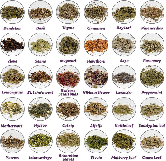 Herbs Continued