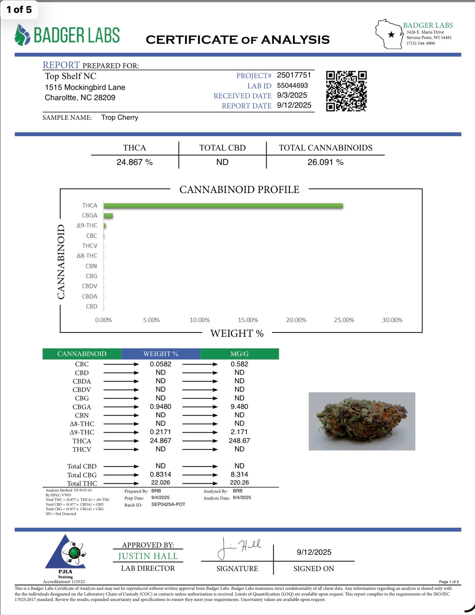 Tropicana Cherry 🍃 Organically Grown Flower (Sativa)