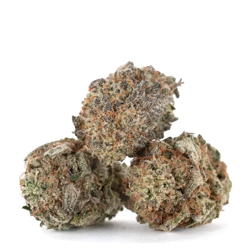 Mimosa Flower (Sativa)