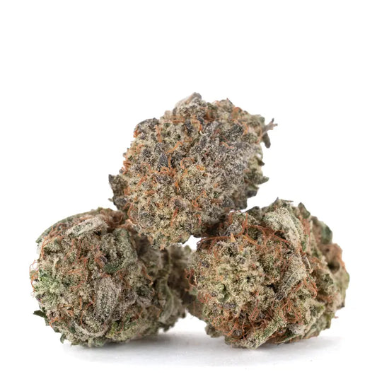 Mimosa Flower (Sativa)