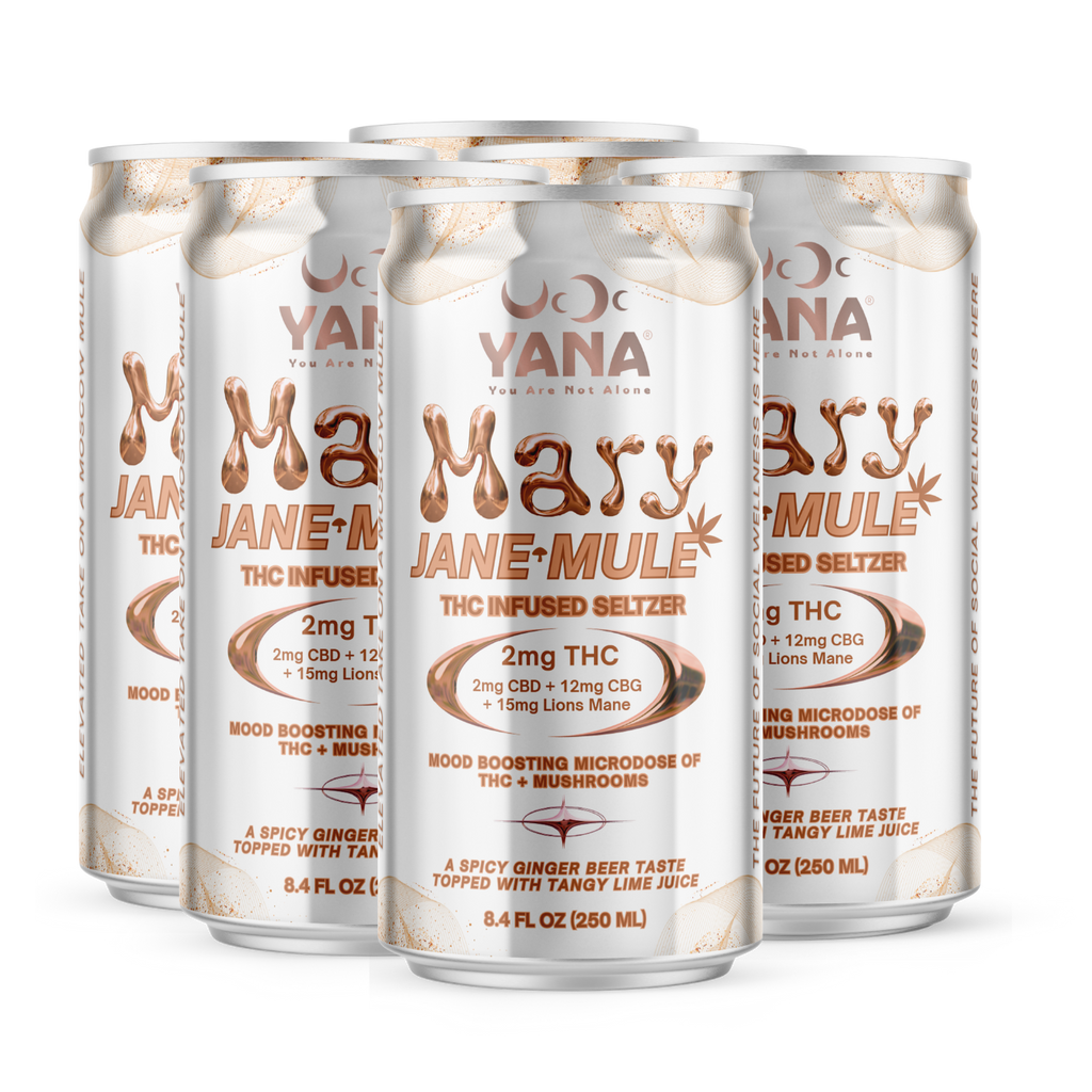 Mary Jane Mule THC Infused Seltzer (2mg)