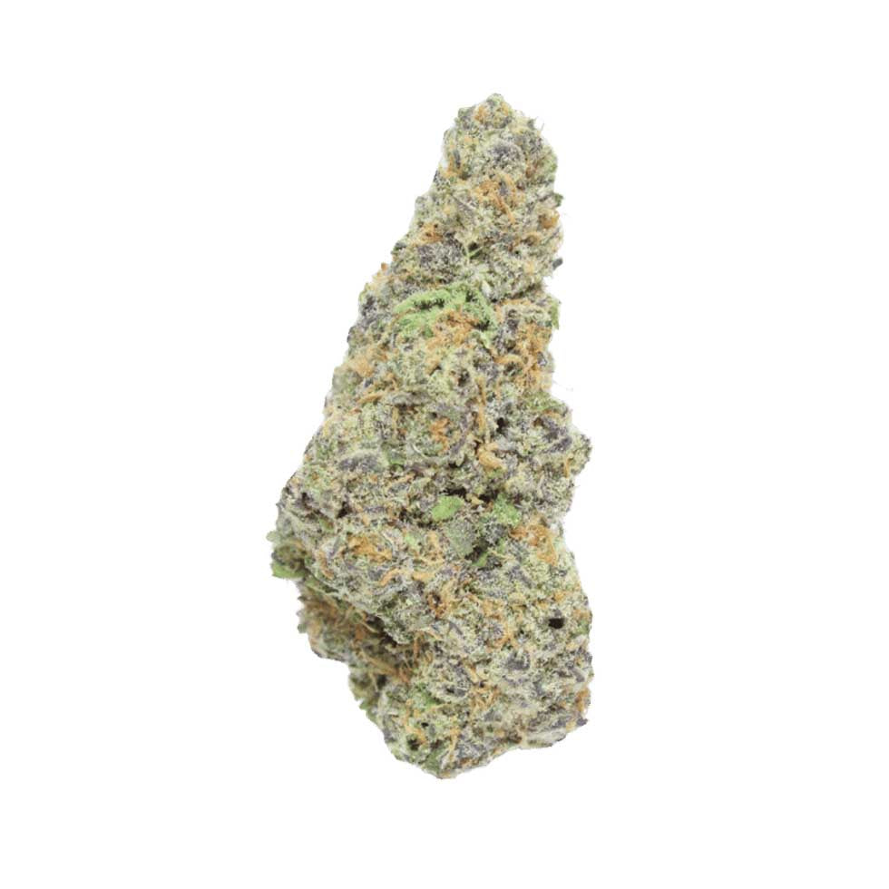 G-47 (Hybrid)