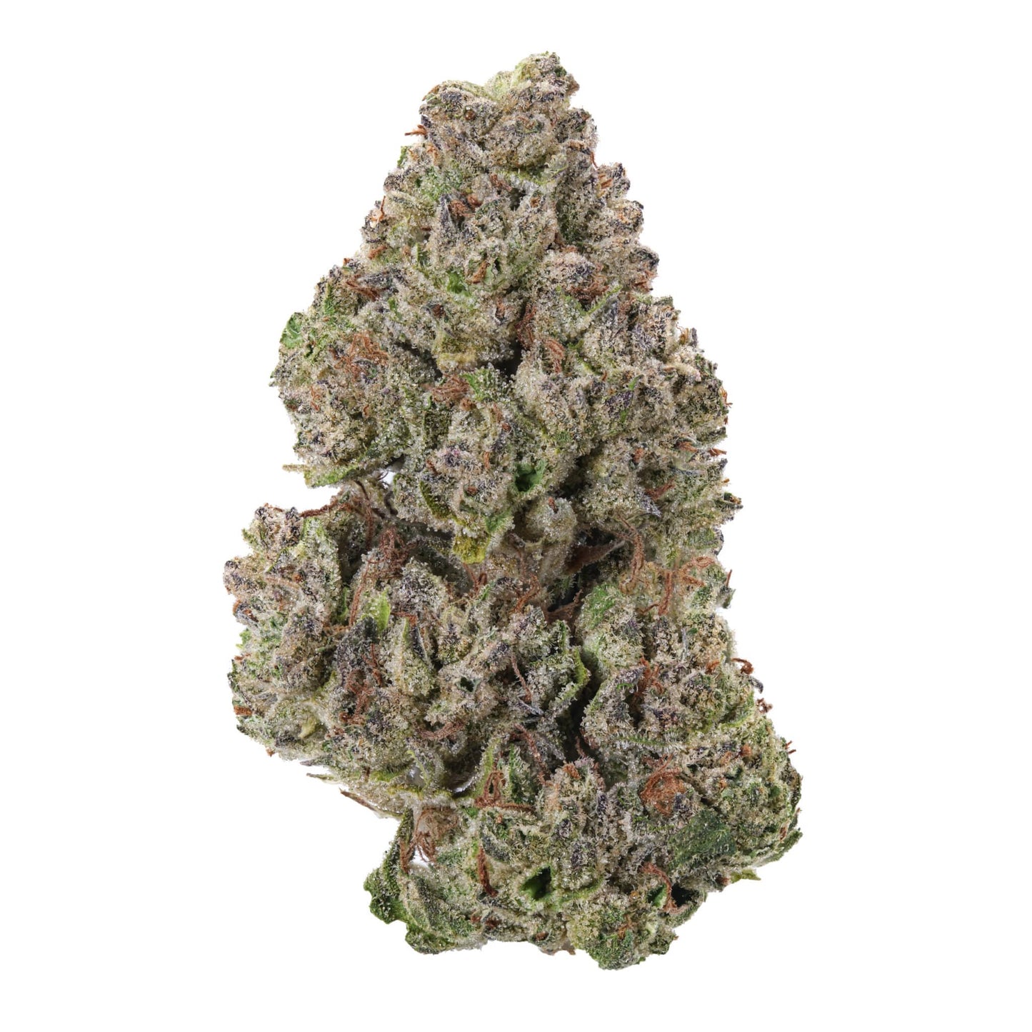 Grape Head Flower-Hybrid (26%)