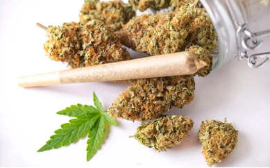 1g Pre-Rolls