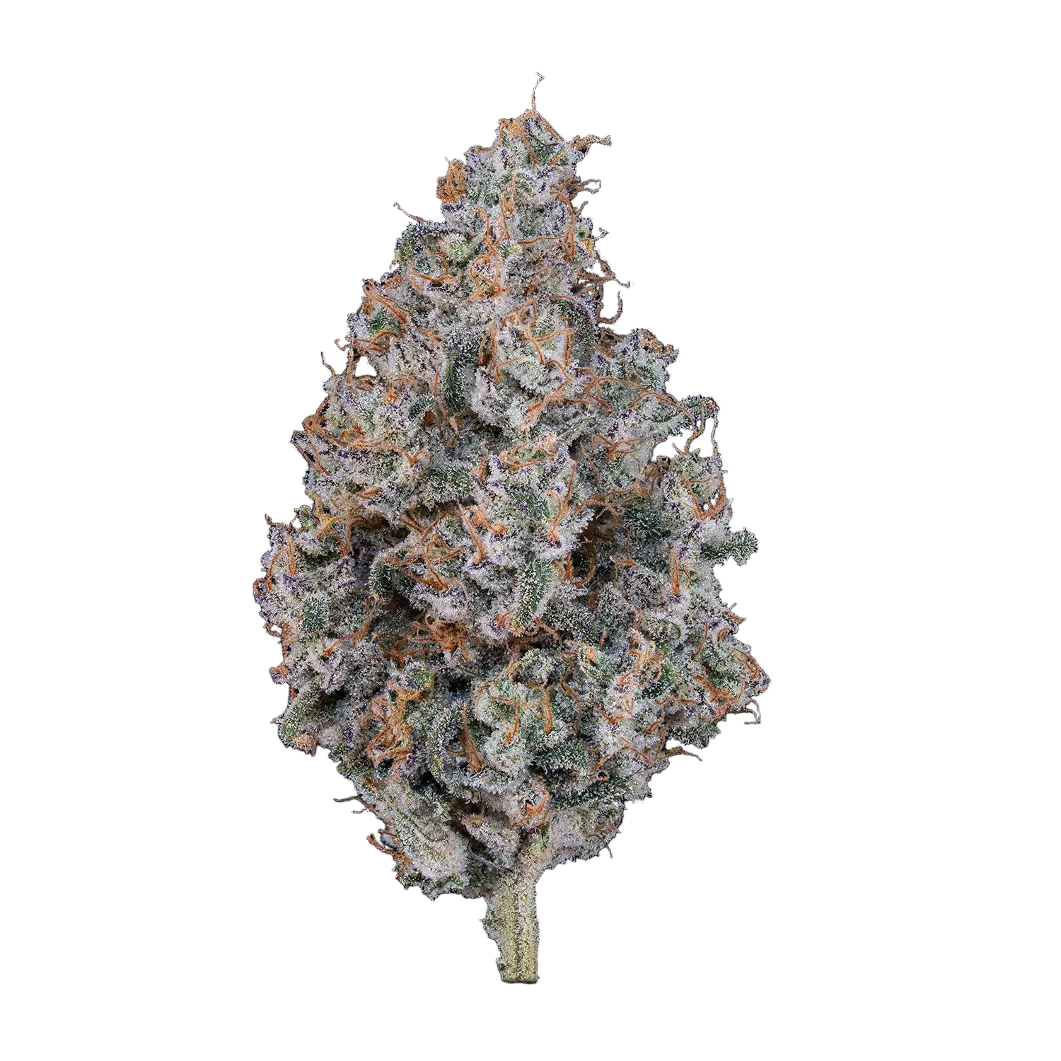 Lemon Cherry Soda (S)