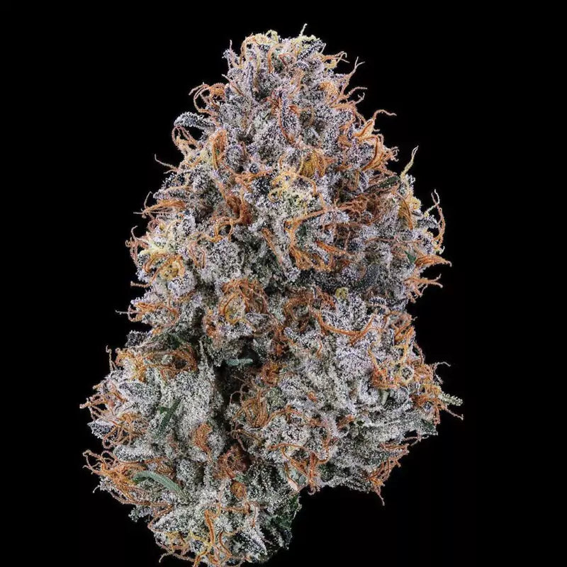 Candy Fumes Flower 24.67% (Hybrid)