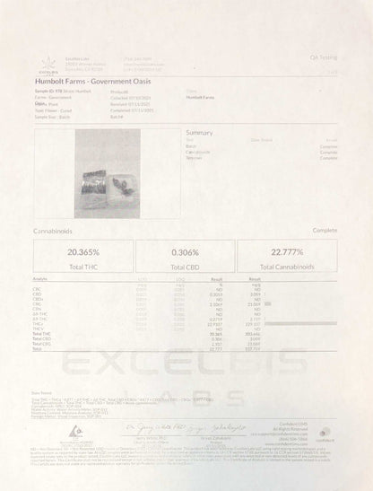 GovernMint Oasis Flower (Sativa/Hybrid) 20.36%