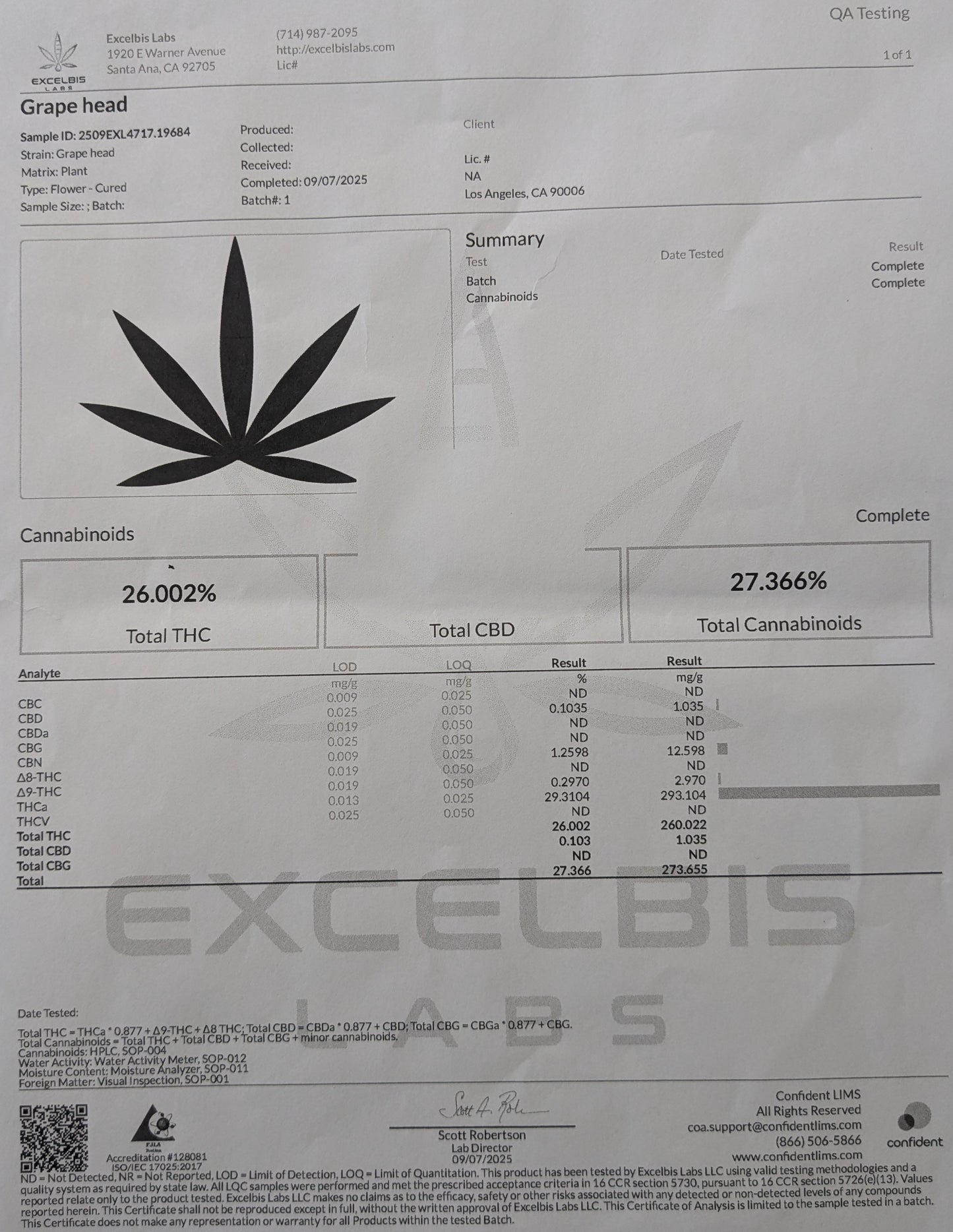 Grape Head Flower-Hybrid (26%)