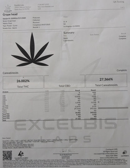 Grape Head Flower-Hybrid (26%)