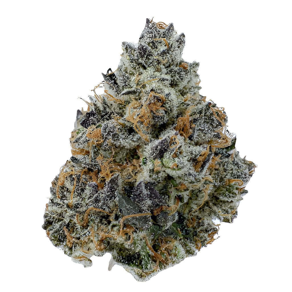 Black Dolphin Flower (Indica) 22.77%