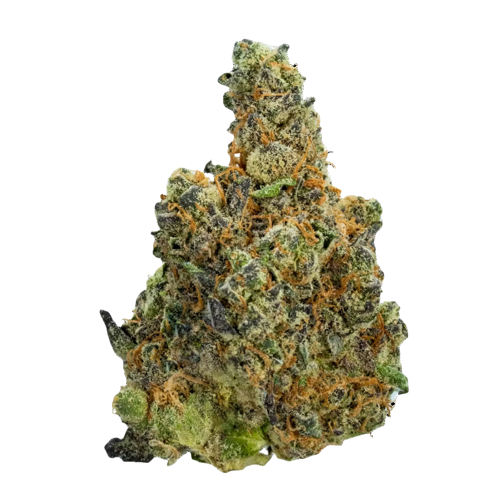 GovernMint Oasis Flower (Sativa/Hybrid) 20.36%
