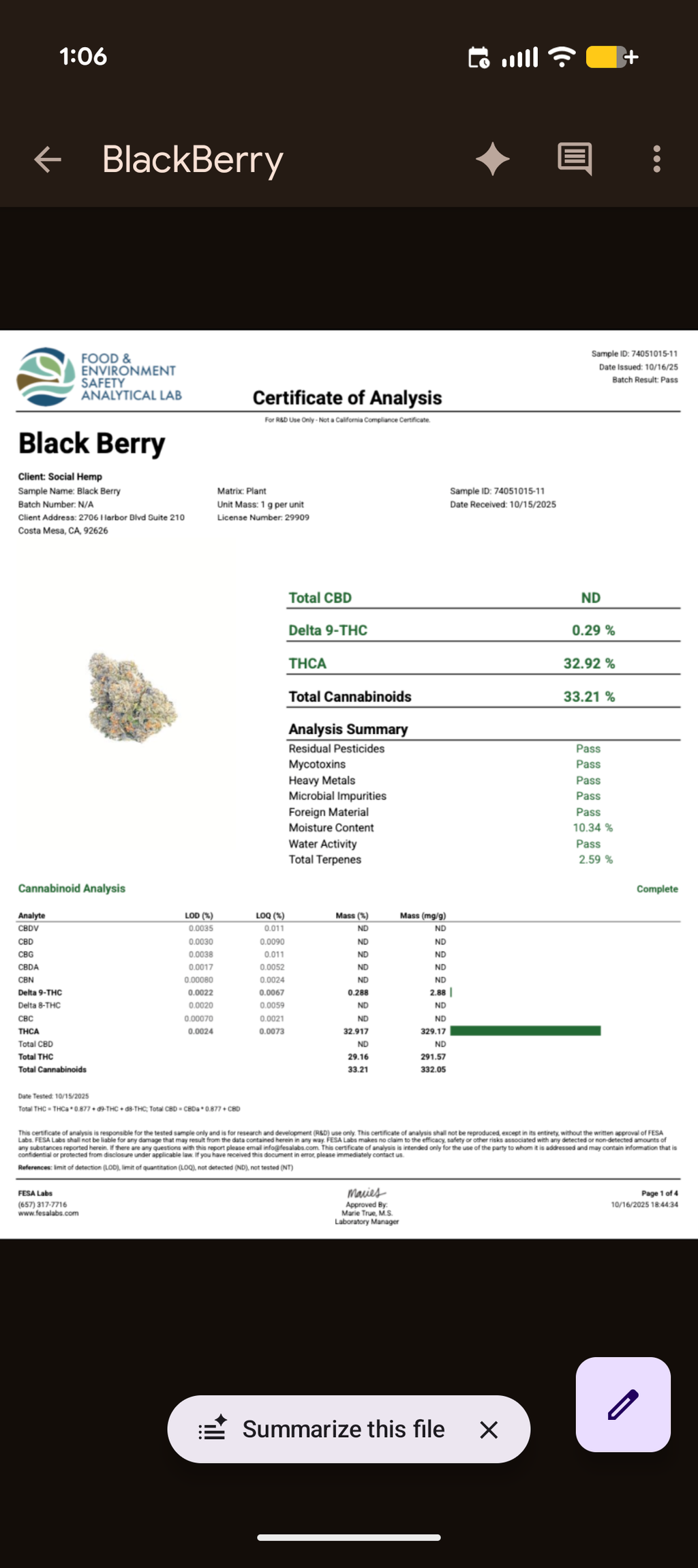 BlackBerry Kush (Sativa/Hybrid)
