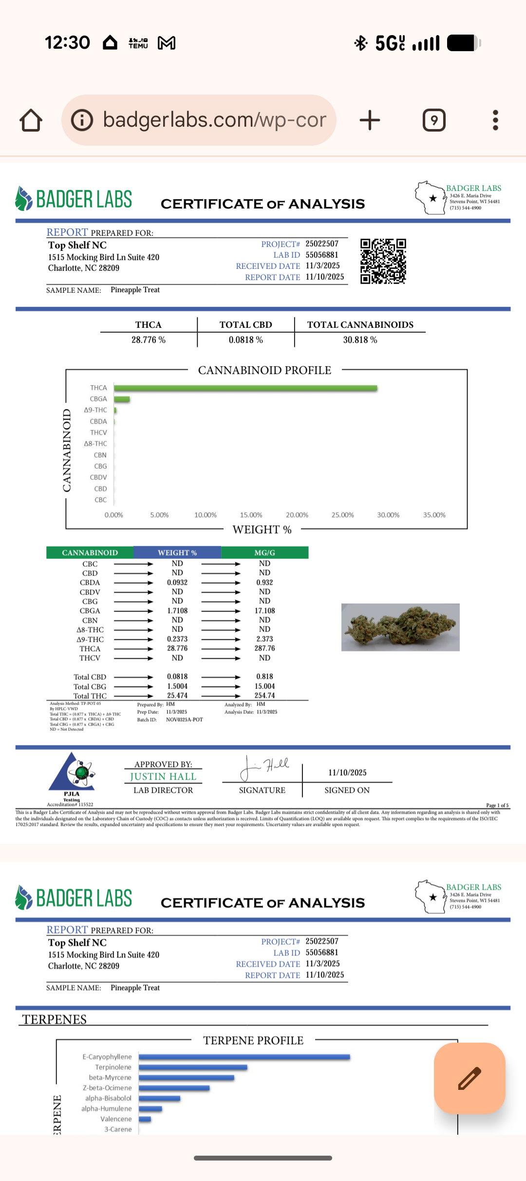 Pineapple Treat Organically Grown Flower 🍃25.47% (Sativa)