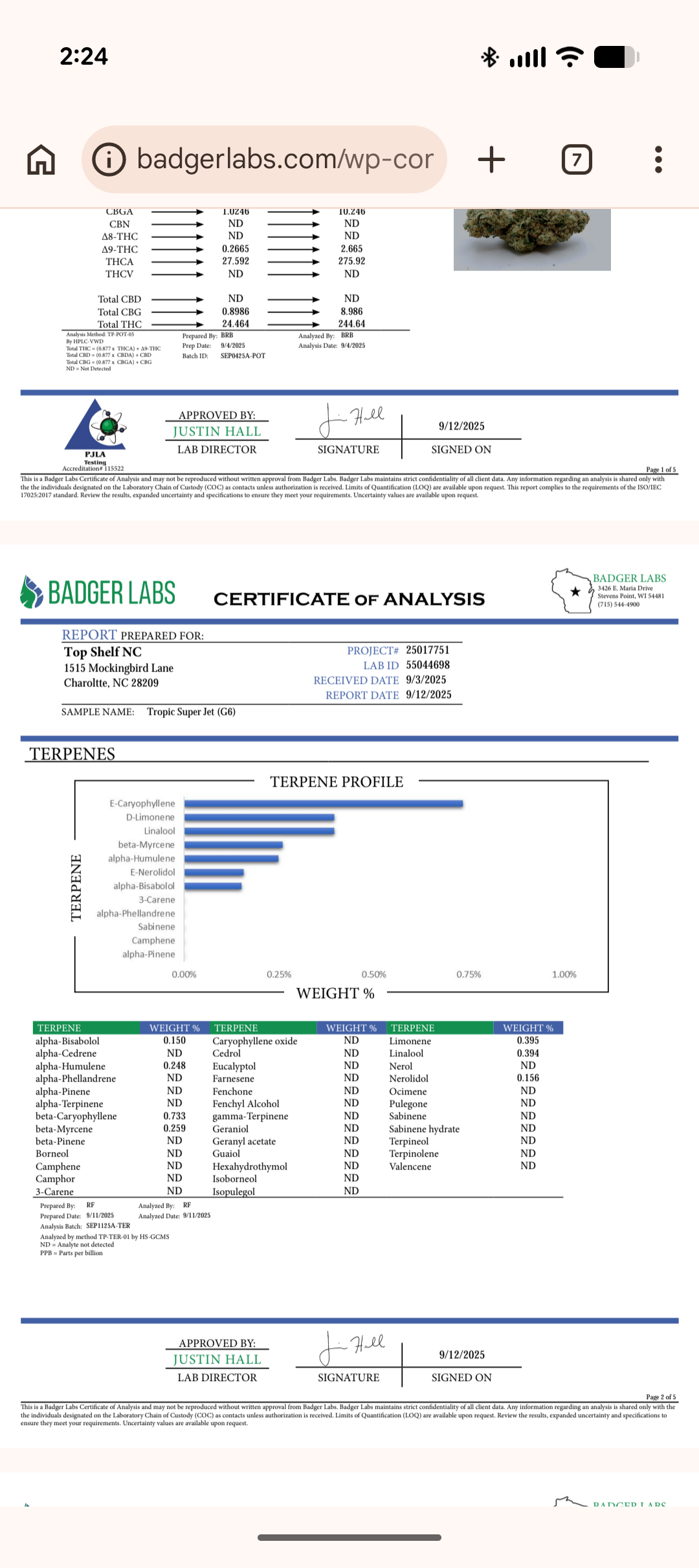 Tropical G6 🍃 Organically Grown Flower (Hybrid)