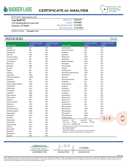 Pineapple Treat Organically Grown Flower 🍃25.47% (Sativa)